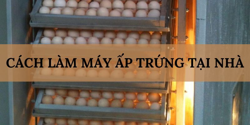 Banner www.donghomytan.vn