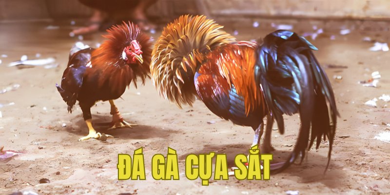 Banner www.donghomytan.vn