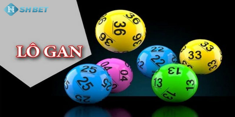 Banner www.donghomytan.vn