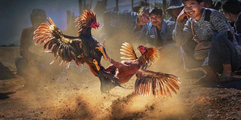 Banner www.donghomytan.vn