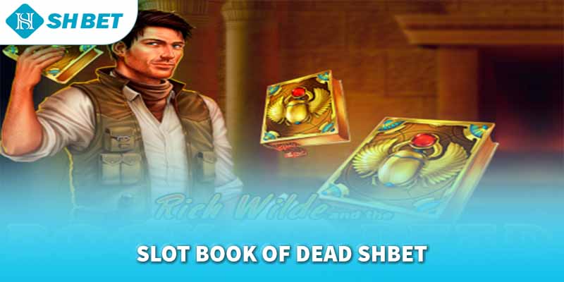 Banner www.donghomytan.vn